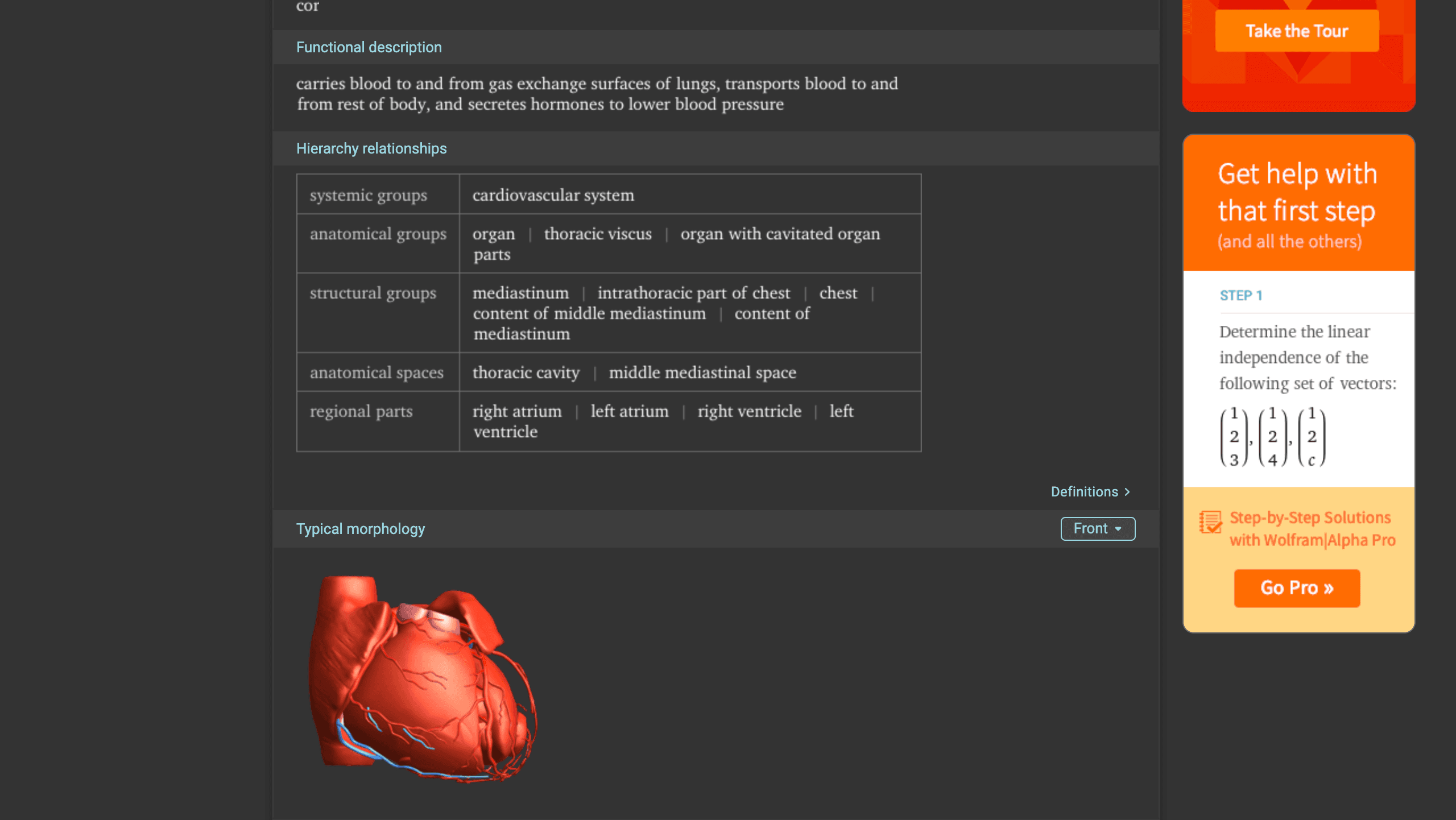 Wolfram Alpha Human Anatomy Heart